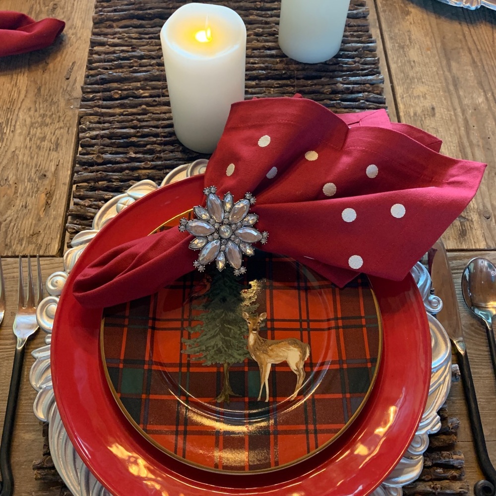 Pottery Barn Plate Chargers Holiday Christmas - Picture 1 of 8